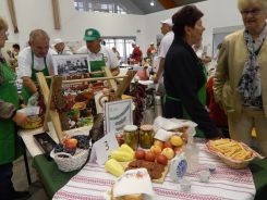 idosek-vilagnapja-2018